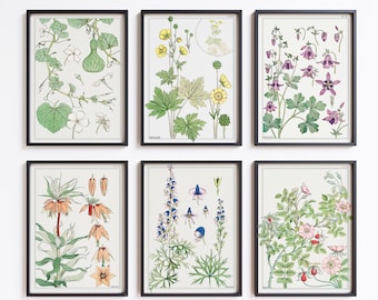 Botanical Wall Art Printable Set Of 6 Prints, Wild Flowers Art, Antique Botanical, Vintage Botanical, Gallery Wall Art, Printable Floral Art