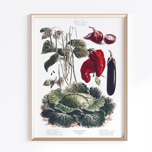 Printable Vegetable Art | Digital Download | Vegetable Poster | Vegetables Art | Antique French Poster | Kitchen Art Prints | Antique