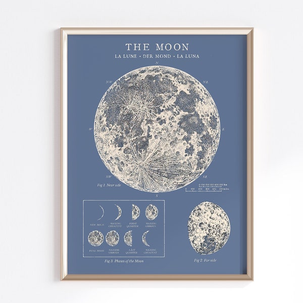 Moon Phases Printable Wall Art | Vintage Moon Poster | Moon Phases Print | Moon Wall Decor | Digital Download | Full Moon Print | Celestial