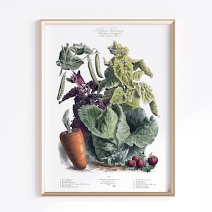 Printable Vintage Vegetable Print 1900s | Digital Download | Vegetable Poster | Vegetables Art | French Art Poster | Kitchen Art Prints