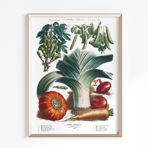 Printable Vegetable Art | Digital Download | Vegetable Poster | Vegetables Art | Antique French Poster | Kitchen Art Prints | Antique
