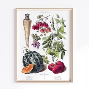 Printable Vegetable Art | Digital Download | Vegetable Poster | Vegetables Art | Vintage French Poster | Kitchen Art Prints | Antique