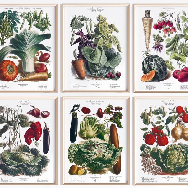 Printable Vegetable Art Set Of 6 | Digital Download | Vegetable Poster | Vegetables Art | Antique French Poster | Kitchen Art Prints