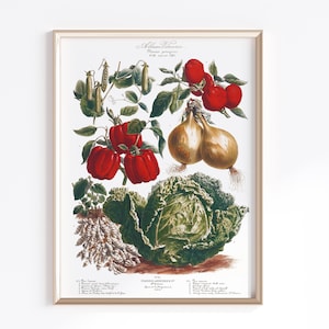 Printable Vegetable Art | Digital Download | Vegetable Poster | Vegetables Art | French Art Poster | Kitchen Art Prints | Vintage Art