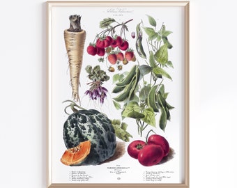 Printable Vegetable Art | Digital Download | Vegetable Poster | Vegetables Art | Vintage French Poster | Kitchen Art Prints | Antique