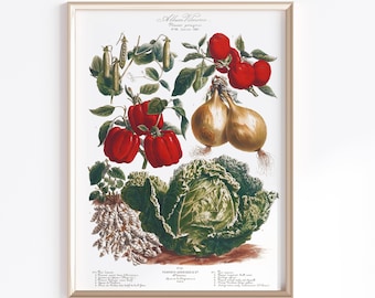 Printable Vegetable Art | Digital Download | Vegetable Poster | Vegetables Art | French Art Poster | Kitchen Art Prints | Vintage Art