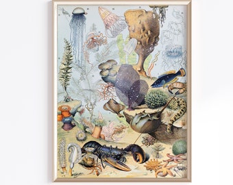 Printable Vintage Ocean Life Poster | Adolphe Millot Poster | Sealife Print | Antique Nature Print | Vintage Ocean Animals | Ocean Wall Art