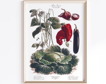 Printable Vegetable Art | Digital Download | Vegetable Poster | Vegetables Art | Antique French Poster | Kitchen Art Prints | Antique