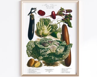 Printable Vegetable Art 1800s | Digital Download | Vegetable Poster | Antique Kitchen Art | French Art Poster | Kitchen Art Prints