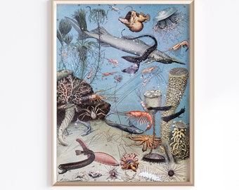 May include: A vintage illustration of various sea creatures, including a shark, a jellyfish, a seahorse, and a variety of fish. The illustration is set against a blue background and features a variety of coral and seaweed.