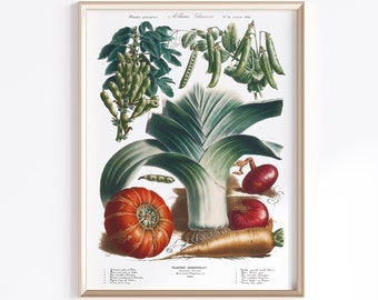 Printable Vegetable Art | Digital Download | Vegetable Poster | Vegetables Art | Antique French Poster | Kitchen Art Prints | Antique