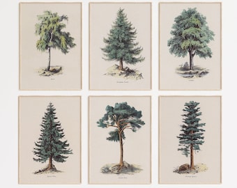 6er Set Vintage Baum Illustration druckbare Kunst | Botanische Kunstdrucke | Rustikale botanische Wandkunst | Bauernhaus Dekor | Druckbare Wanddekoration
