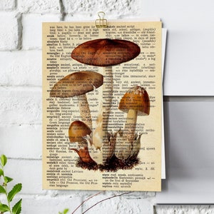 Printable | Mushroom Dictionary Print | Mushroom Decor | Cottagecore Print | Botanical Print | Vintage Mushroom Print |