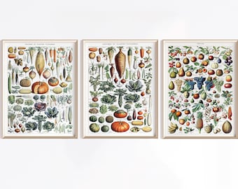 Vegetable & Fruit Print Set | Digital Download | Vegetable Poster | Vintage Vegetables Art | Antique Fruit Poster | Kitchen Art Prints