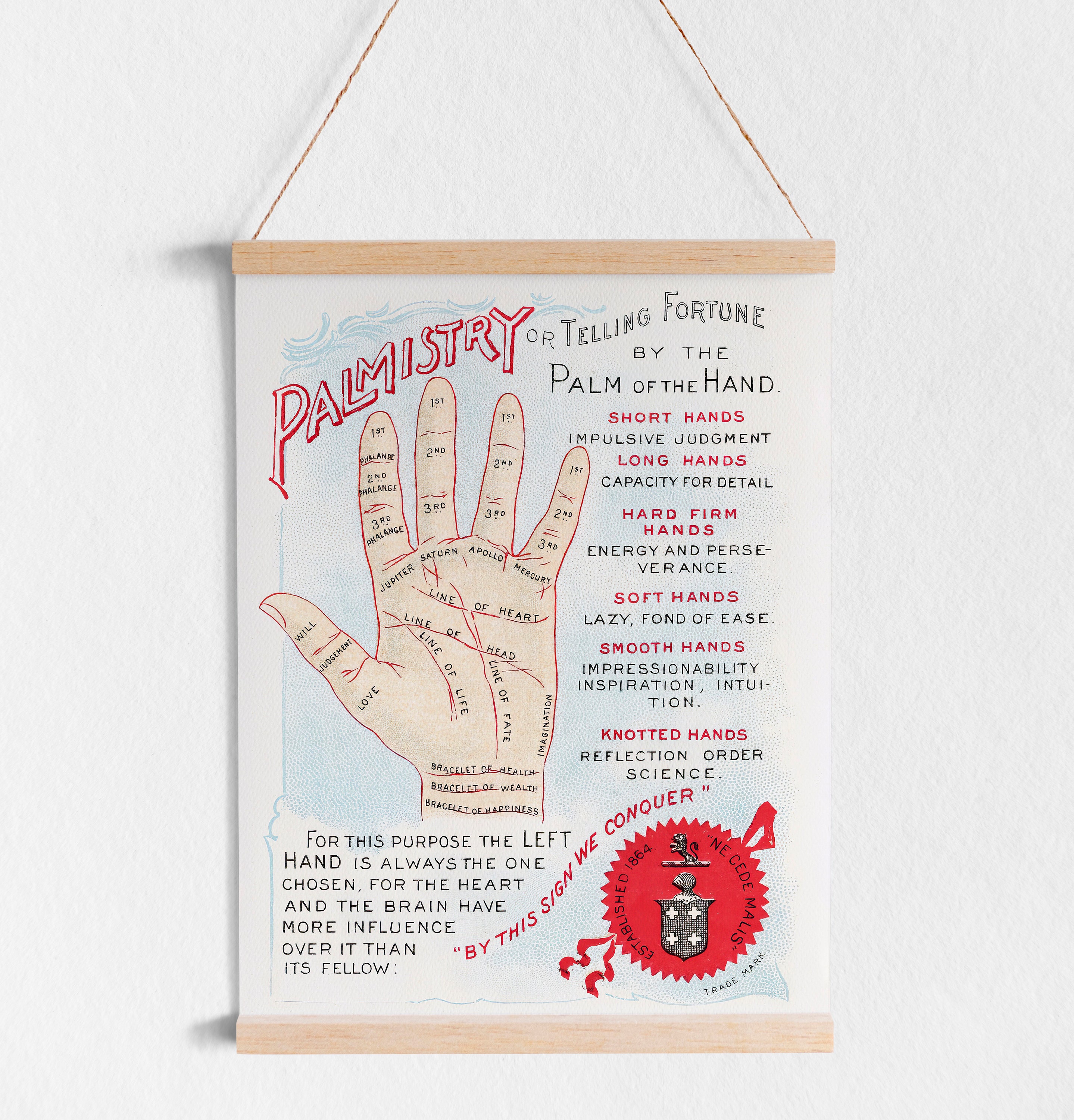 Palmistry Printable Wall Art Digital Download Fortune - Etsy