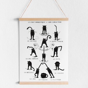 May include: A black and white illustration of a cat in different poses, each representing a different personality trait. The text in French reads "Le Chat Domestique et Son Caractere" and lists the traits: La Decision, L'Indifference, La Bonne Humeur, La Colere, La Franchise, La Joie Complete, La Meliance, La Ruse, Le Chagrin, La Joie, La Paresse, La Flatterie.