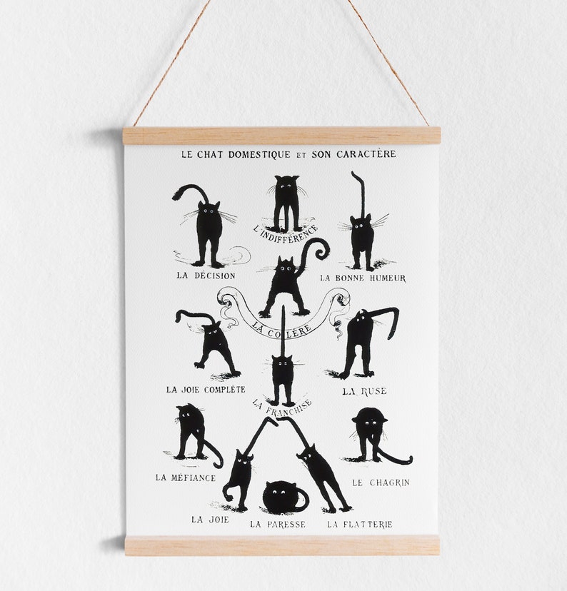 May include: A black and white illustration of a cat in different poses, each representing a different personality trait. The text in French reads "Le Chat Domestique et Son Caractere" and lists the traits: La Decision, L'Indifference, La Bonne Humeur, La Colere, La Franchise, La Joie Complete, La Meliance, La Ruse, Le Chagrin, La Joie, La Paresse, La Flatterie.