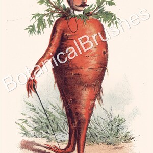 May include: A whimsical illustration of a carrot person wearing a top hat, monocle, and a leafy collar. The carrot person is holding a walking stick and standing in a field of green grass.