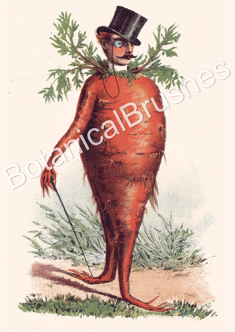 May include: A whimsical illustration of a carrot person wearing a top hat, monocle, and a leafy collar. The carrot person is holding a walking stick and standing in a field of green grass.