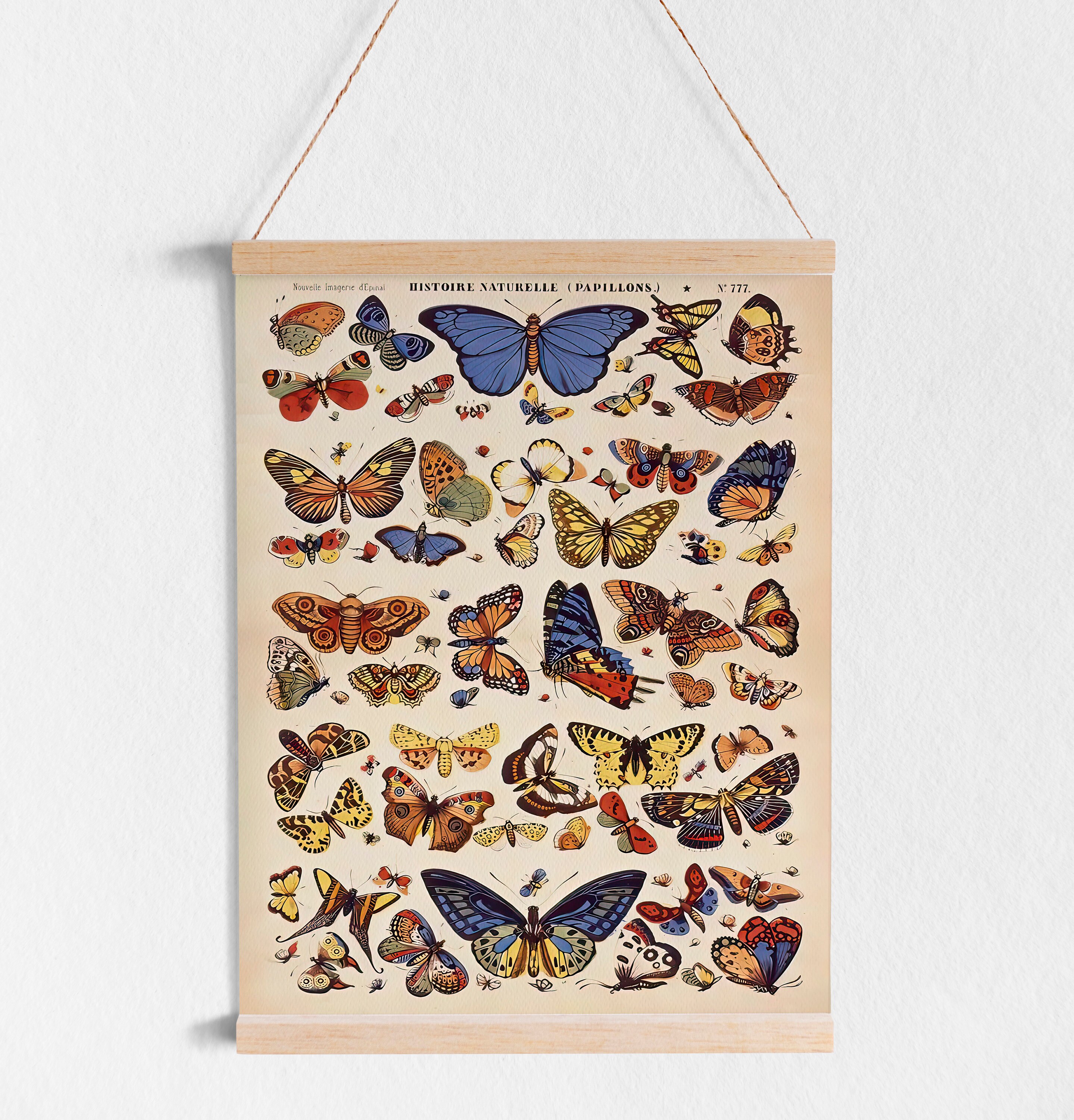 Printable Butterfly Poster | Butterfly Wall Art | Vintage Prints ...