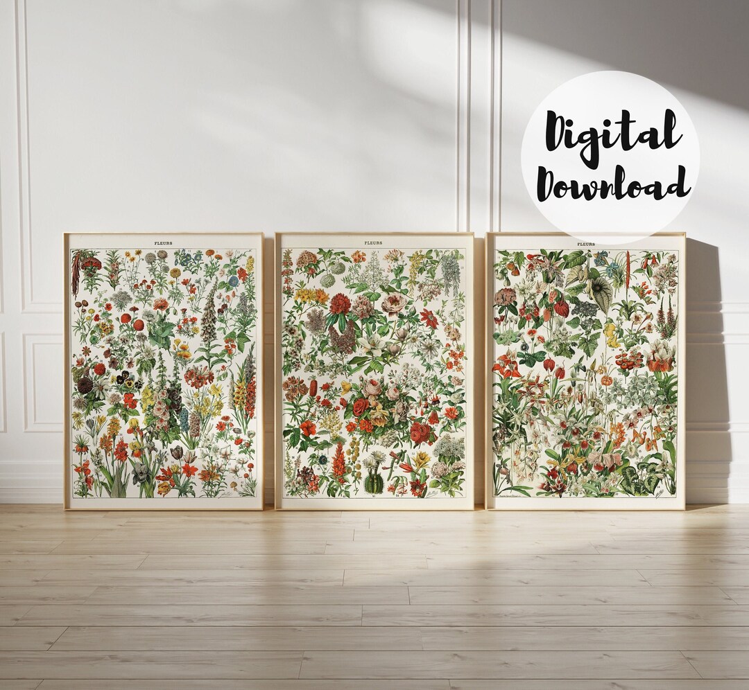 Printable Flower Wall Art Set Of 3 Flower Posters Digital Download printable-flower-wall-art-set-of-3-flower-posters-digital-download