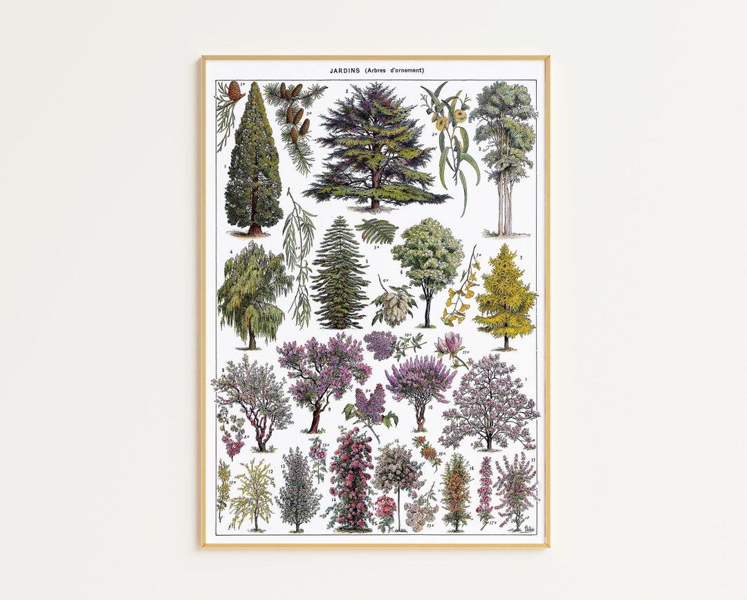 Printable Vintage Forest Poster Digital Download | Tree Illustration ...