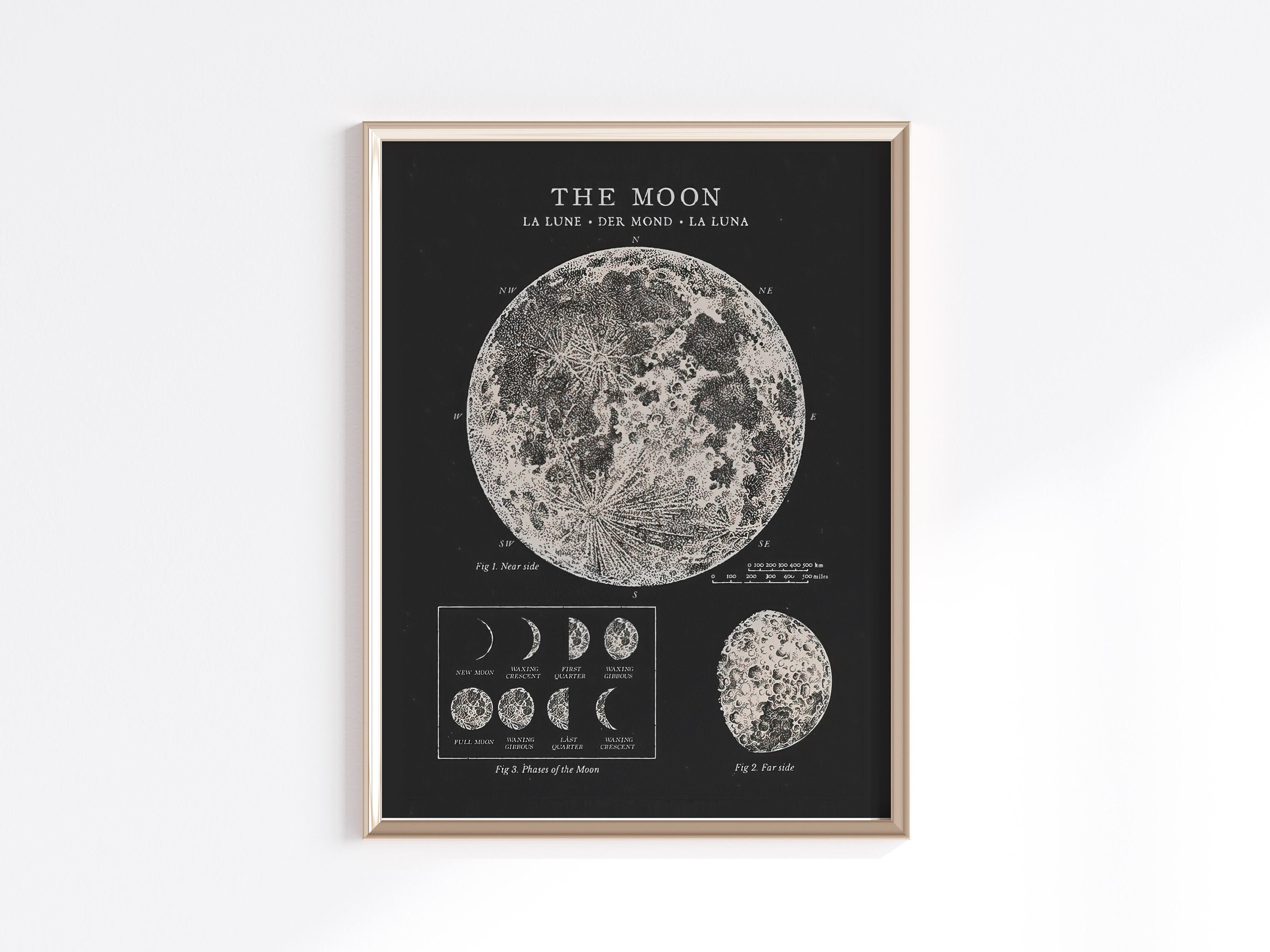 Moon Phases Printable Vintage Moon Poster Moon Phases - Etsy UK