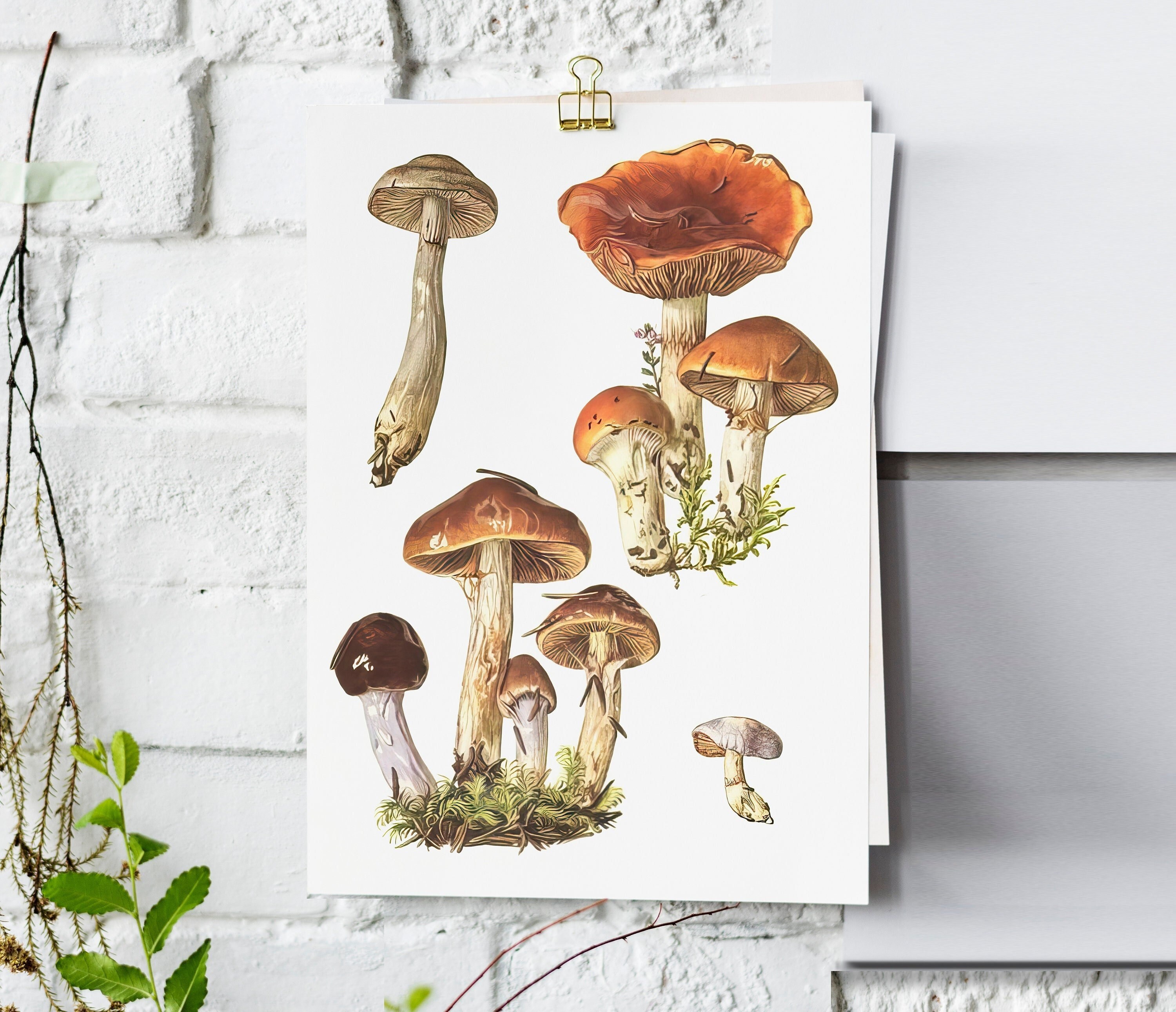 Set Di 3 Stampe Su Tela Con Funghi - Decorazione Murale Cottagecore Per Cameretta E Soggiorno