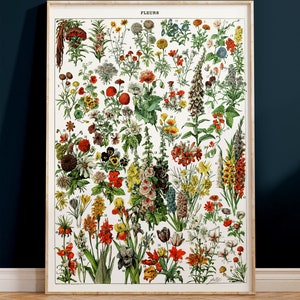 K&ouml;nnte beinhalten: Eine Vintage-botanische Illustration mit einer Vielzahl von Blumen, darunter rote Mohnblumen, gelbe Lilien und violette Iris. Die Illustration ist mit "FLEURS" beschriftet und von 1 bis 61 nummeriert.
