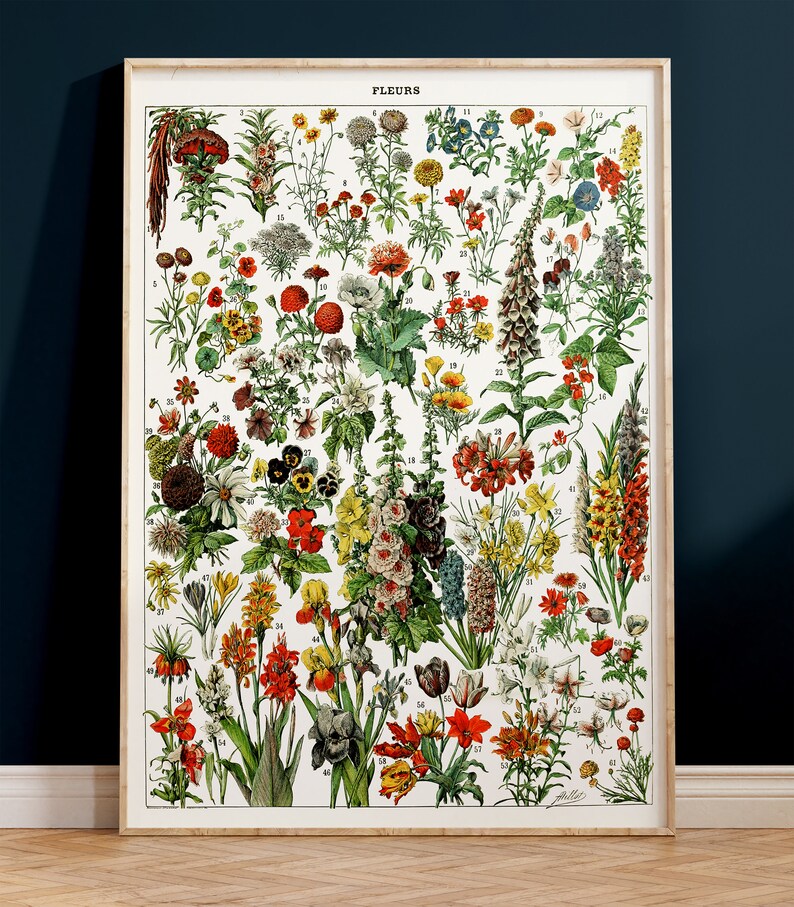 K&ouml;nnte beinhalten: Eine Vintage-botanische Illustration mit einer Vielzahl von Blumen, darunter rote Mohnblumen, gelbe Lilien und violette Iris. Die Illustration ist mit "FLEURS" beschriftet und von 1 bis 61 nummeriert.
