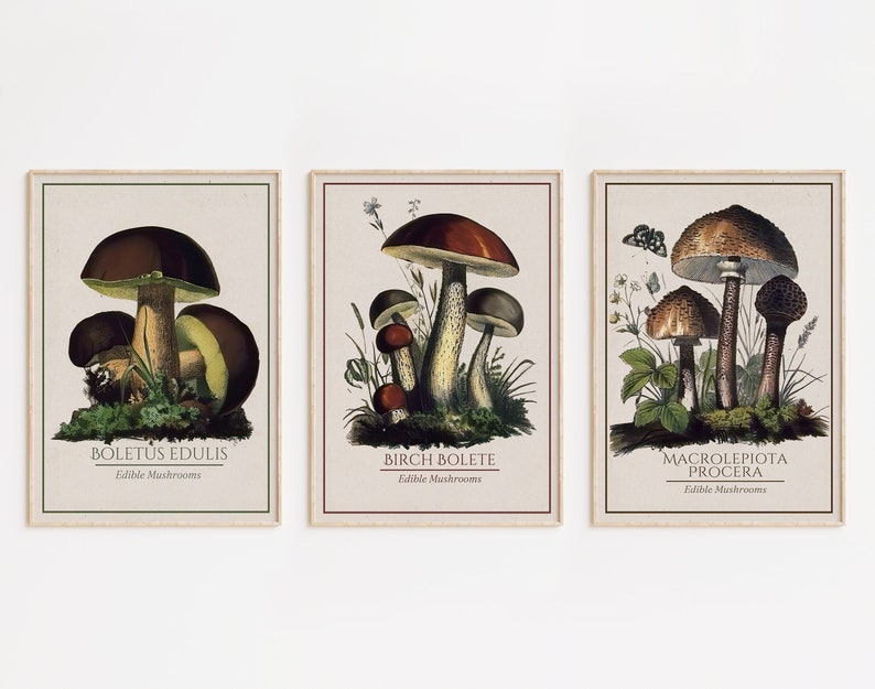 Printable Mushroom Wall Art Digital Download Edible Mushroom Print Mushroom Art Decor Mushroom