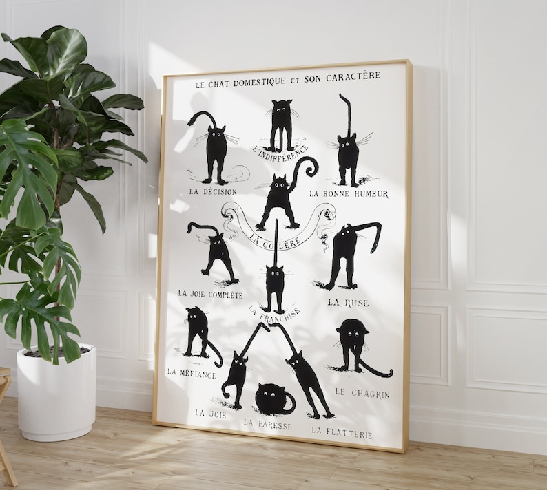 May include: A black and white illustration of a cat in different poses, each representing a different personality trait. The text in French describes each trait, such as "la colere" (anger) and "la joie" (joy).