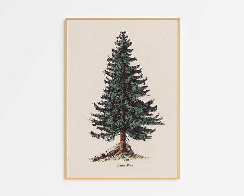 Set of 6 Vintage Tree Illustration Printable Art | Botanical Art Prints ...