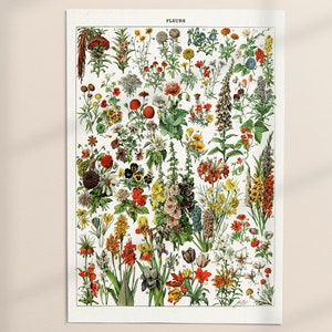 K&ouml;nnte beinhalten: Eine Vintage-botanische Illustration verschiedener Blumen, die mit Nummern versehen sind. Die Illustration zeigt eine Vielzahl von Farben, darunter Rot, Gelb, Blau, Rosa und Wei&szlig;. Die Blumen sind in einem symmetrischen Muster angeordnet, mit dem Titel "FLEURS" oben.