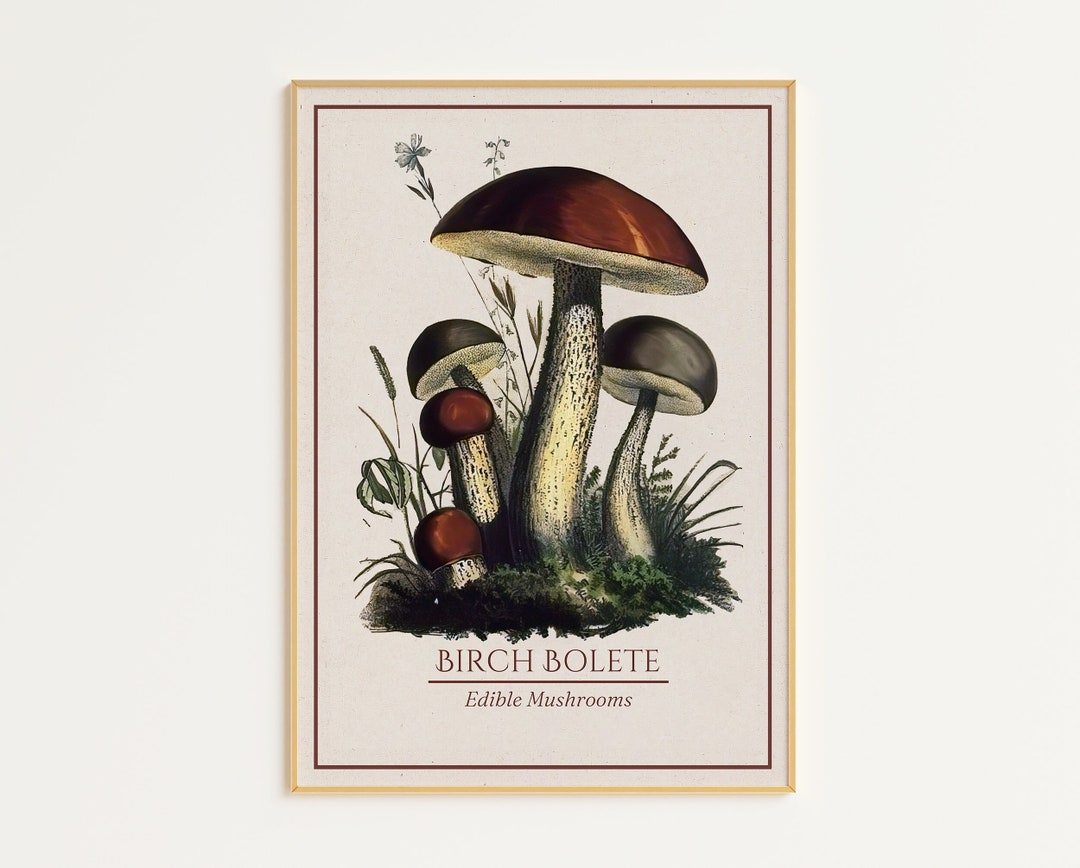 Printable Mushroom Wall Art Digital Download Edible Mushroom Print Mushroom Art Decor Mushroom