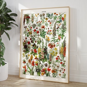 K&ouml;nnte beinhalten: Eine Vintage-botanische Illustration mit einer Vielzahl von Blumen in Rot-, Gelb-, Rosa- und Blaut&ouml;nen. Die Illustration ist mit "FLEURS" beschriftet und enth&auml;lt die Zahlen 1 bis 27, die wahrscheinlich verschiedene Arten darstellen.