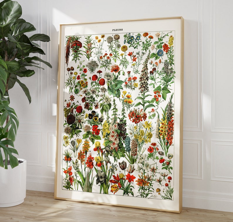 K&ouml;nnte beinhalten: Eine Vintage-botanische Illustration mit einer Vielzahl von Blumen in Rot-, Gelb-, Rosa- und Blaut&ouml;nen. Die Illustration ist mit "FLEURS" beschriftet und enth&auml;lt die Zahlen 1 bis 27, die wahrscheinlich verschiedene Arten darstellen.