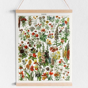 K&ouml;nnte beinhalten: Ein Vintage-Poster mit botanischen Illustrationen, das verschiedene Blumen zeigt, die mit Nummern und dem franz&ouml;sischen Wort "FLEURS" beschriftet sind. Das Poster ist auf wei&szlig;em Papier gedruckt und mit einem Holzrahmen gerahmt.