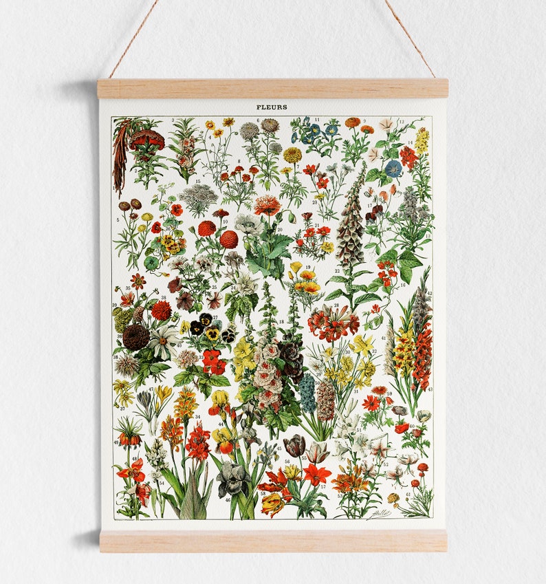 K&ouml;nnte beinhalten: Ein Vintage-Poster mit botanischen Illustrationen, das verschiedene Blumen zeigt, die mit Nummern und dem franz&ouml;sischen Wort "FLEURS" beschriftet sind. Das Poster ist auf wei&szlig;em Papier gedruckt und mit einem Holzrahmen gerahmt.