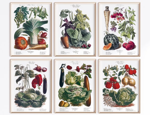 Printable Vegetable Art Set Of 6 | Digital Download | Vegetable Poster | Vegetables Art | Antique French Poster | Kitchen Art Prints