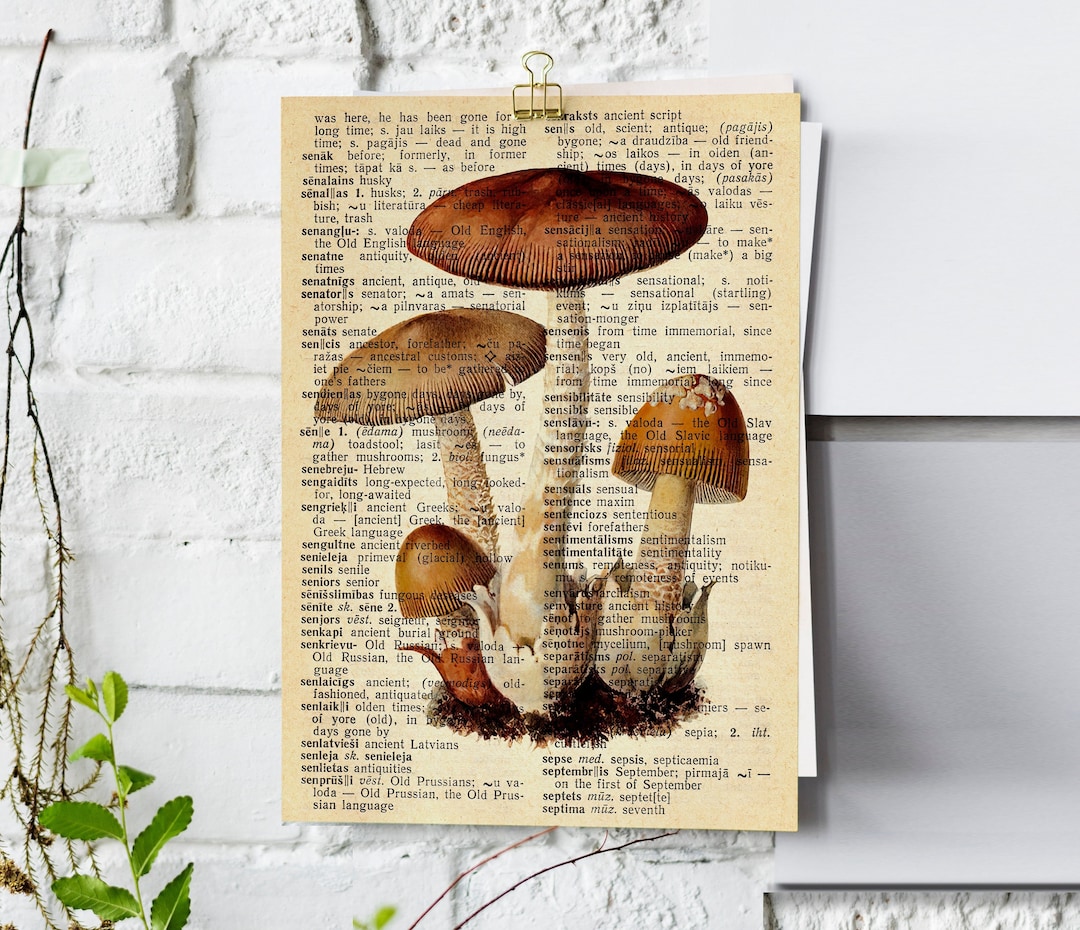 Printable Mushroom Dictionary Print Mushroom Decor Cottagecore Print