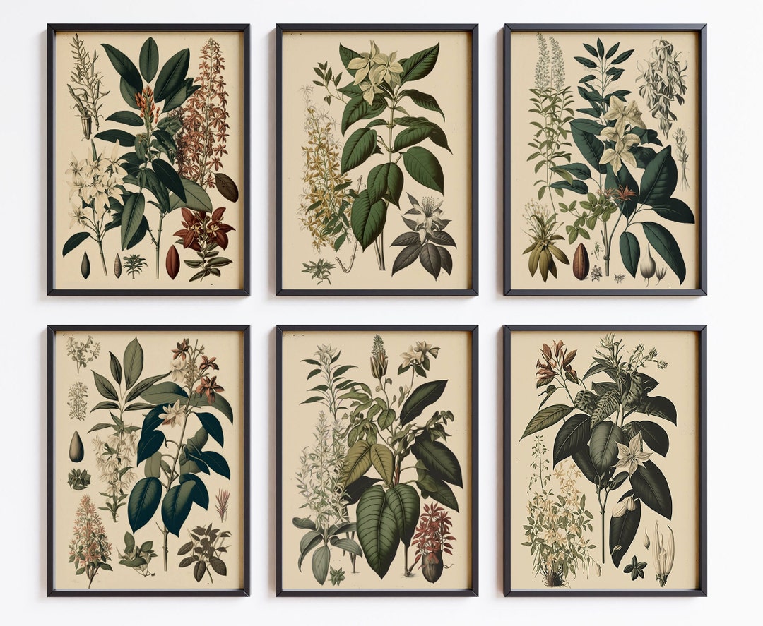 Vintage Botanical Set of 6 Printable Wall Art, Printable Vintage Flower ...