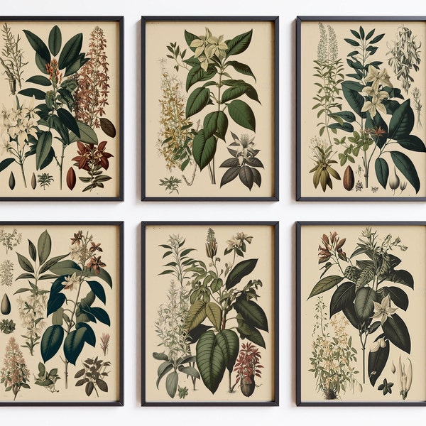 Vintage Botanical Set Of 6 Printable Wall Art, Printable Vintage Flower, Cottagecore Digital Prints, Printable Bedroom Decor, Vintage Art