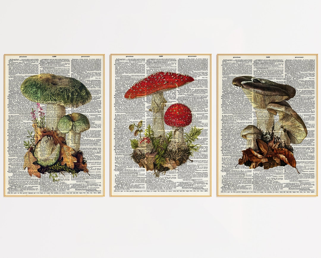 Set of 3 Dictionary Mushroom Prints Dictionary Prints Book Print