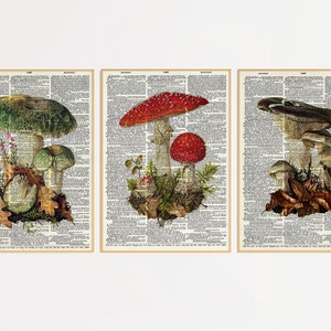 Set of 3 Dictionary Mushroom Prints | Dictionary Prints | Book Print | Mushrooms Lover Gift | Mushroom Artwork | Mushroom Wall Decor