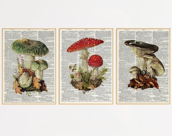 Set of 3 Dictionary Mushroom Prints | Dictionary Prints | Book Print | Mushrooms Lover Gift | Mushroom Artwork | Mushroom Wall Decor