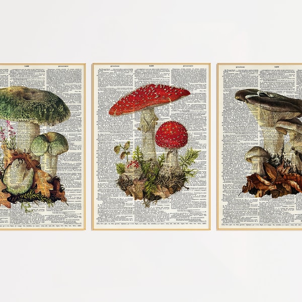 Set of 3 Dictionary Mushroom Prints | Dictionary Prints | Book Print | Mushrooms Lover Gift | Mushroom Artwork | Mushroom Wall Decor