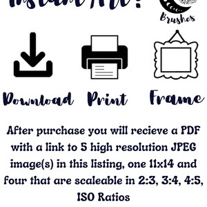 May include: Instant Art! Download, print, and frame a digital illustration of a crescent moon with botanical elements. The image is available in five sizes, including one 11x14 inch print and four scalable sizes in ISO ratios.