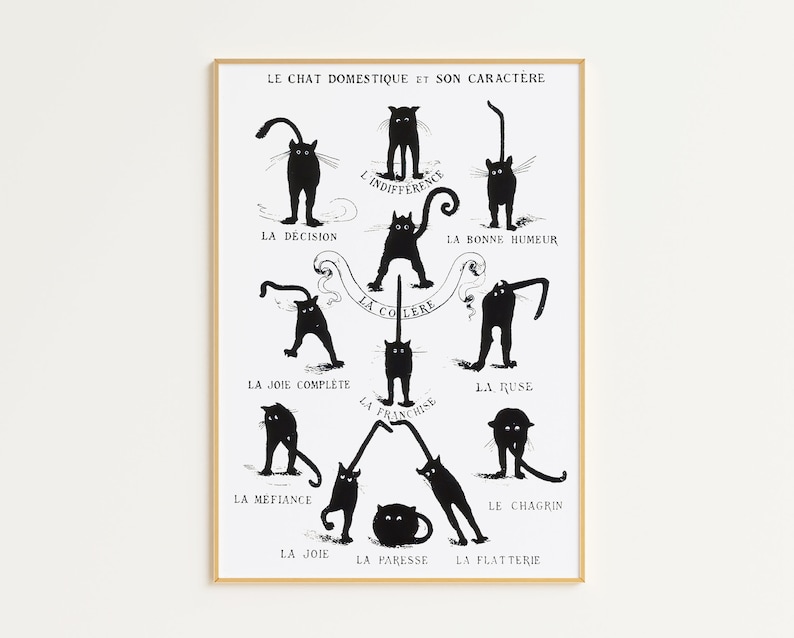 May include: A black and white illustration of a cat in different poses, each representing a different personality trait. The text in French describes each pose, such as "La Colere" (Anger) and "La Joie" (Joy).
