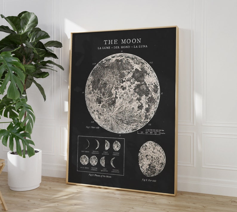 Moon Phases Printable Vintage Moon Poster Moon Phases - Etsy